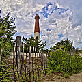 Beach View of Barney