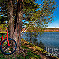 Biking to Horseshoe Lake