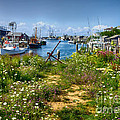 Menemsha