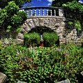 Garden Pond