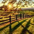 Sussex County Sunset